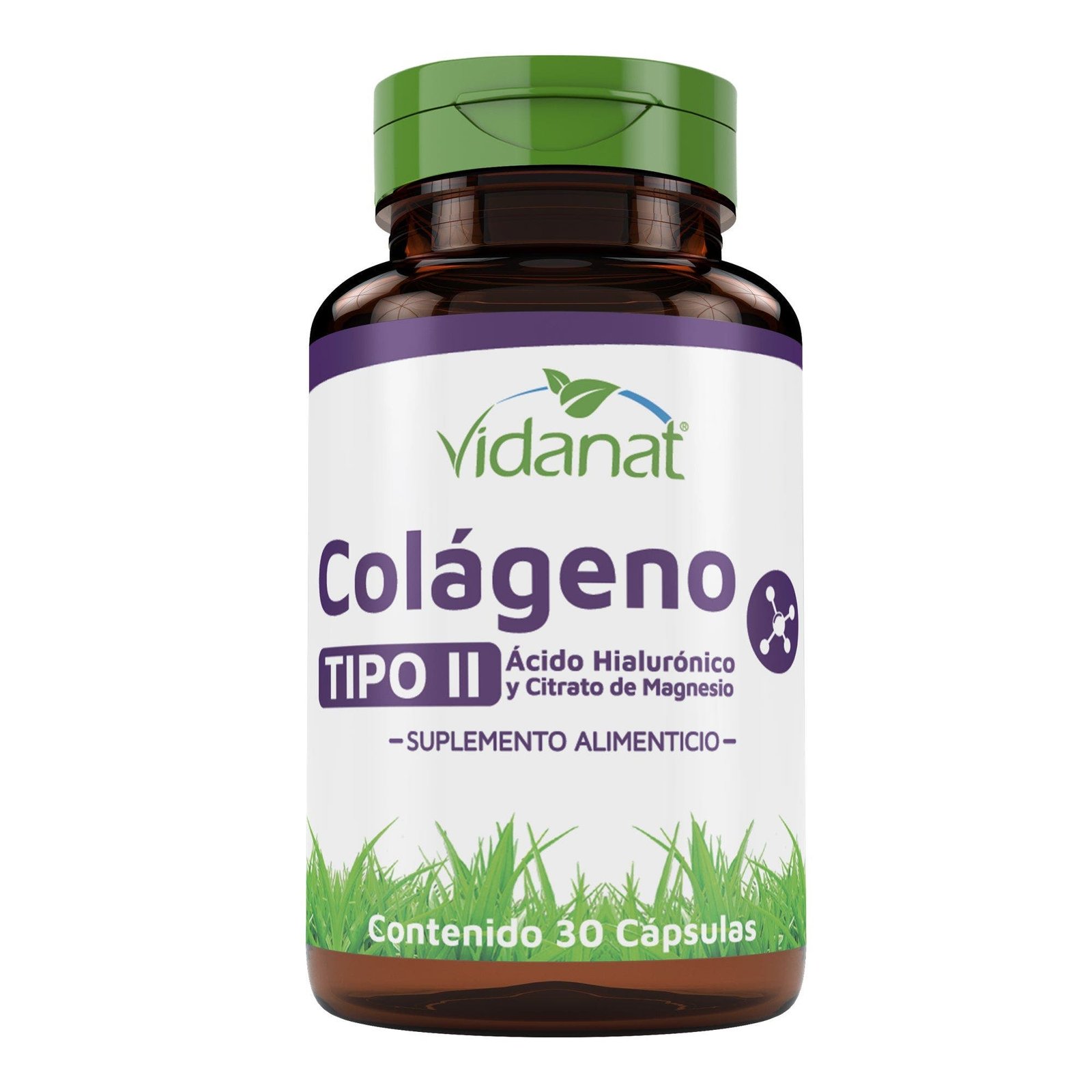 Collagen Type Ii Hyaluronic Acid Magnesium 30 Cap