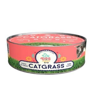 CAT GRASS Pasto Avena & Cebada for Cat Mejora Digestion